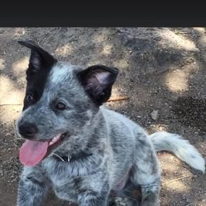 Meet your Posher, Jorge